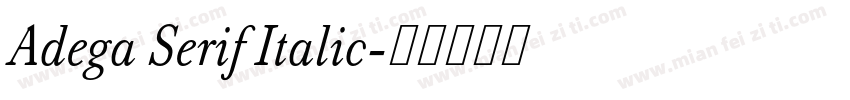 Adega Serif Italic字体转换